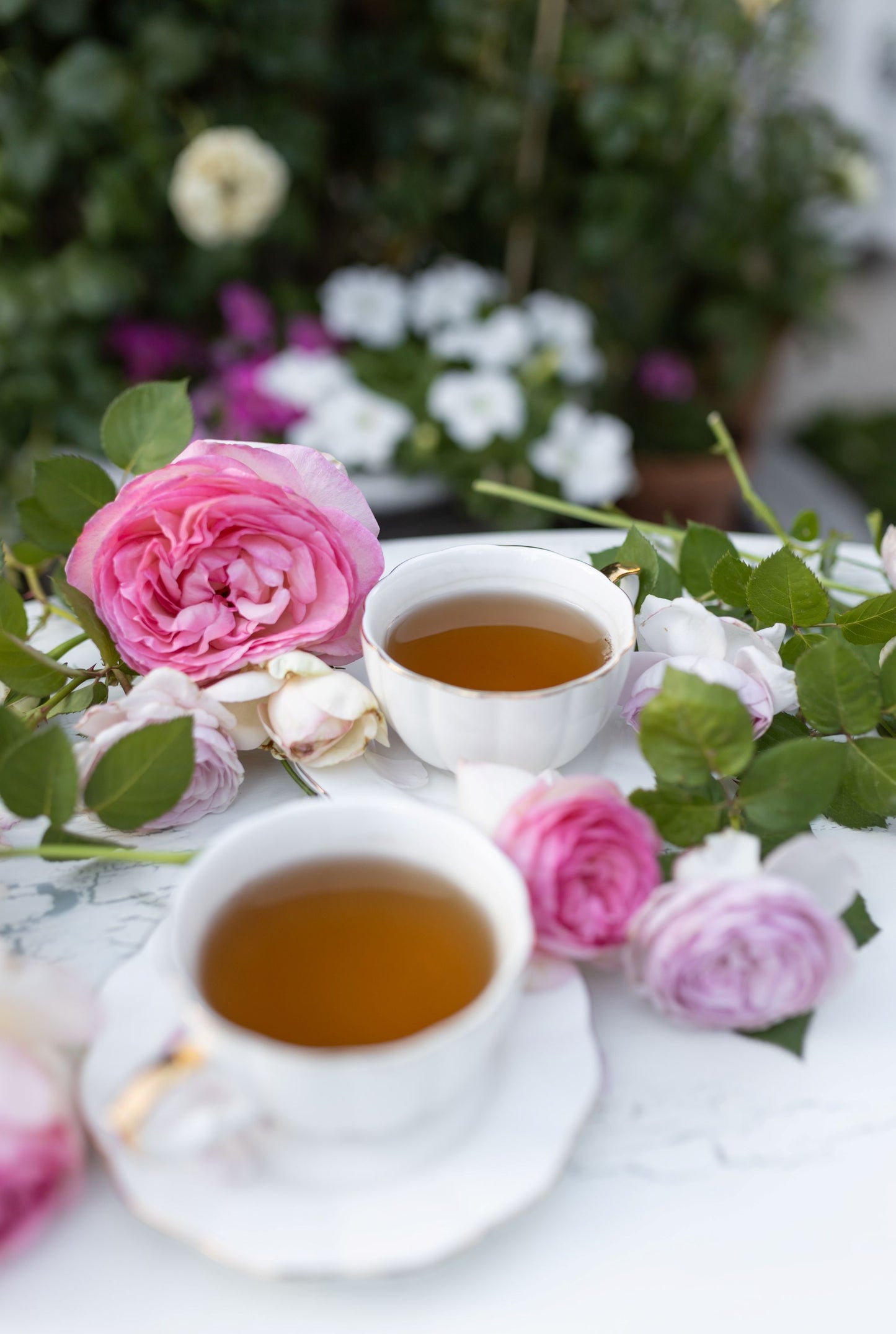 Garden Rose Tea